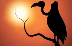 silhouette image of stork on a branch 